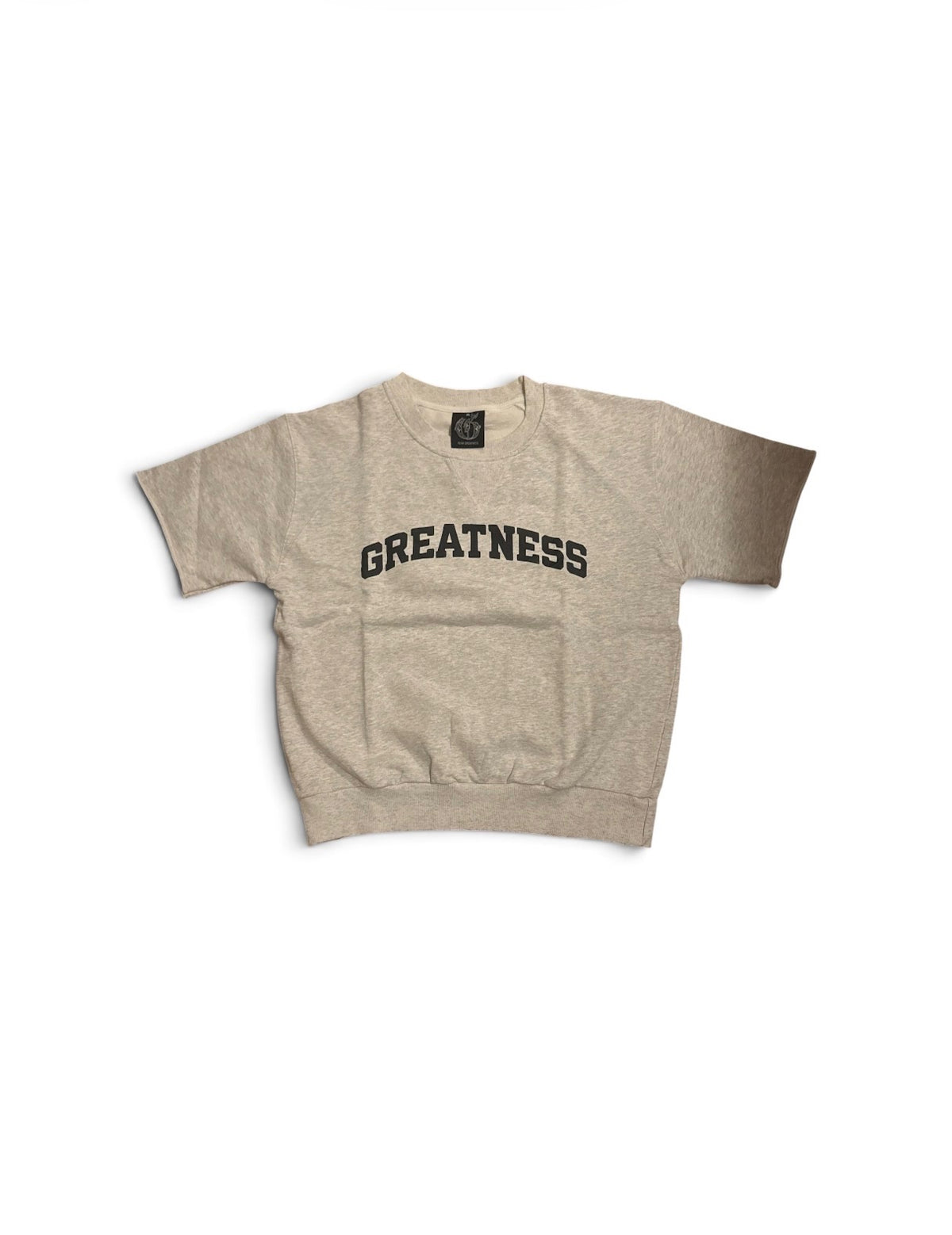 Greatness Grey Top